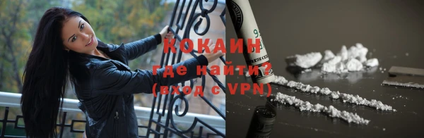 сатива Нея
