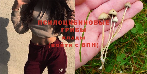 2c-b Нефтекумск