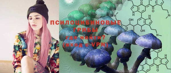 2c-b Нефтекумск
