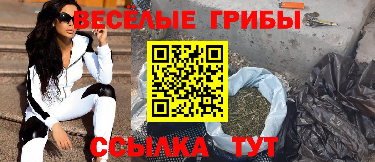 Галлюциногенные грибы ЛСД Тавда