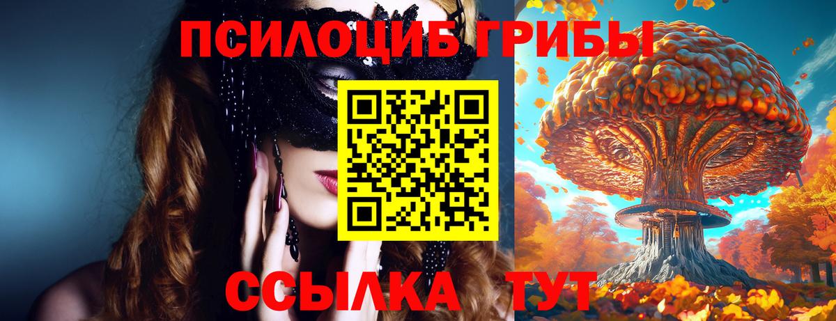 Галлюциногенные грибы мухоморы  Вход с VPN  Тавда 